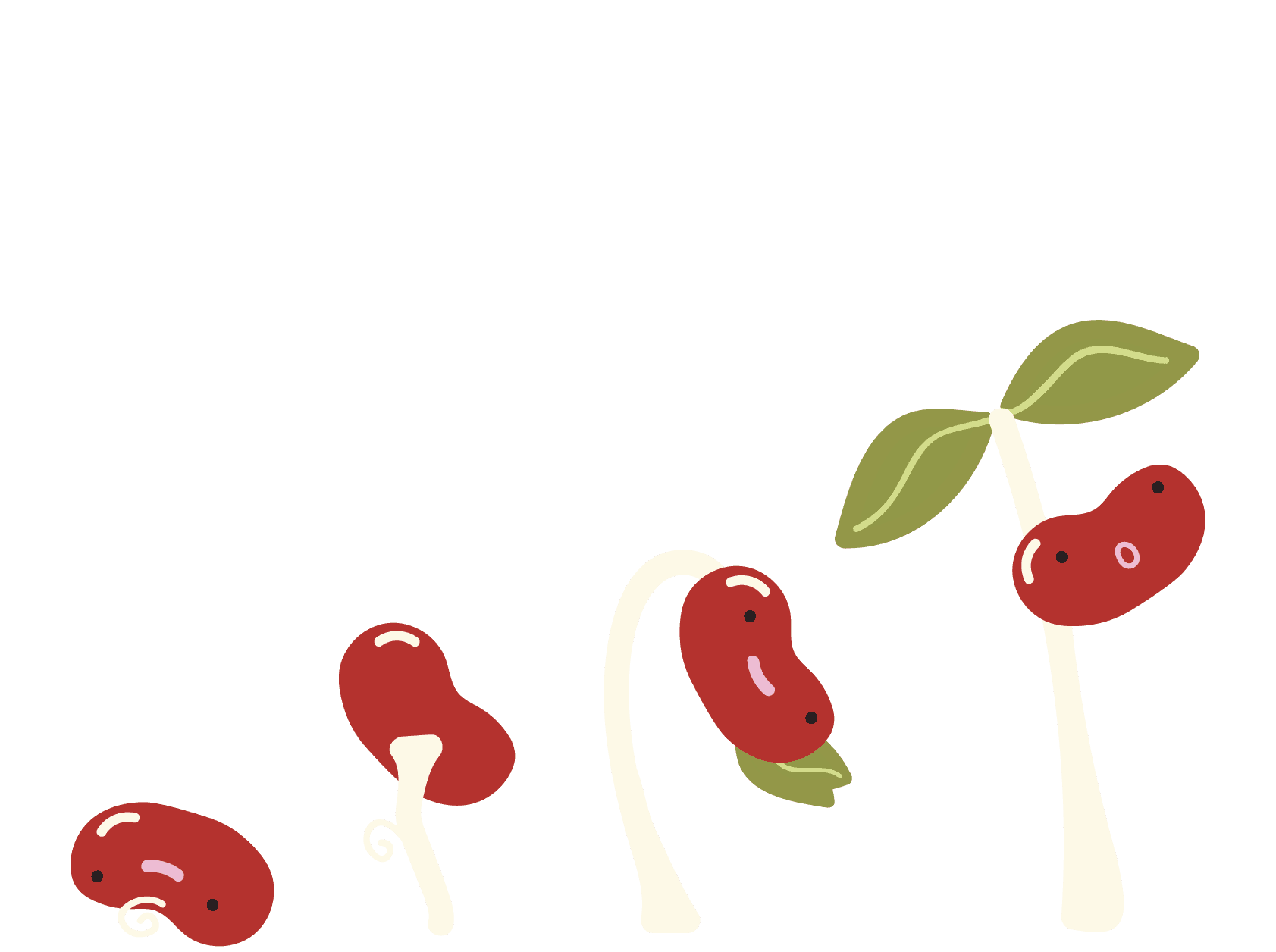 Illustratie Werkwijze Jobcoach Het Terphuis_(zonder_krul_vierkant)-08